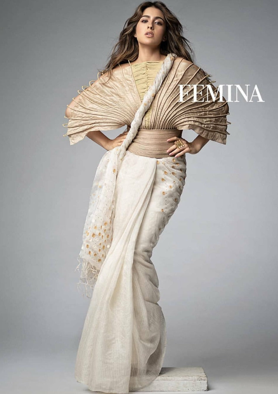 Embroidered Silk Saree