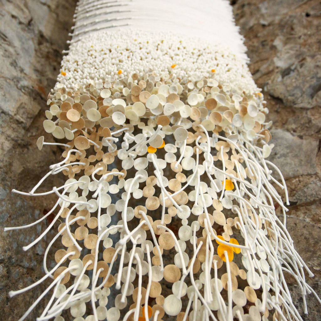 Sajha Textile Art
