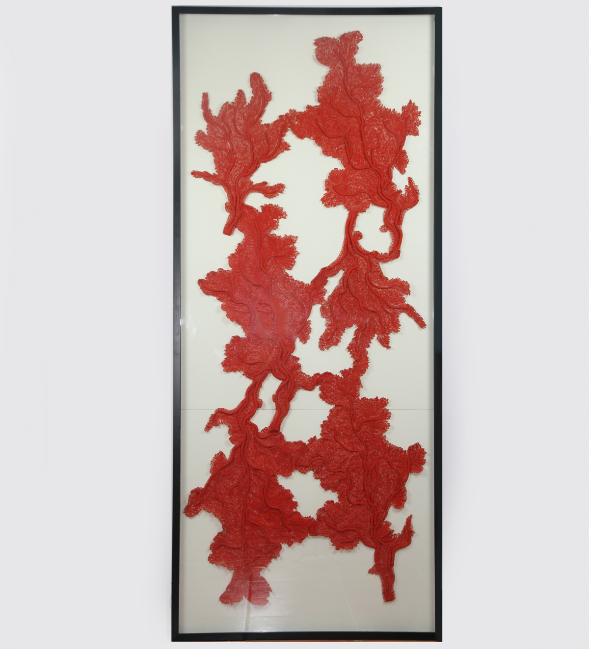 Framed Abyss Red Coral