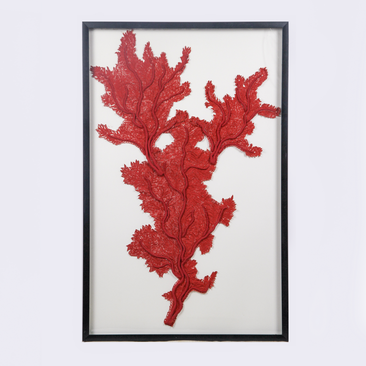 Framed Abyss Red Coral