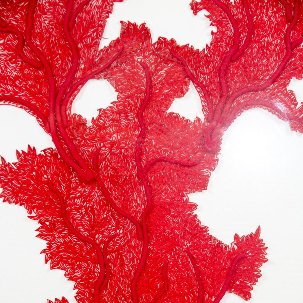 Framed Abyss Red Coral