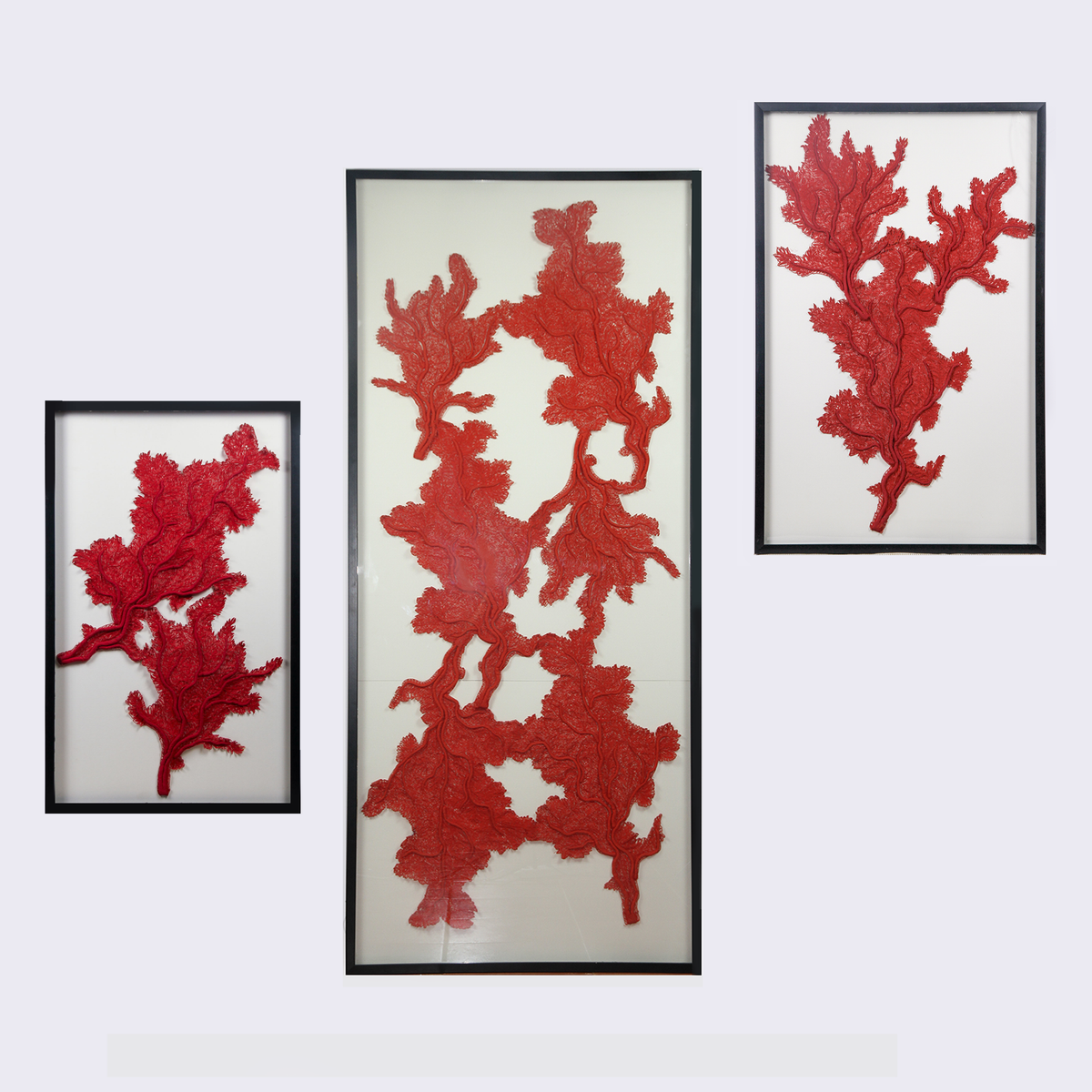 Framed Abyss Red Coral