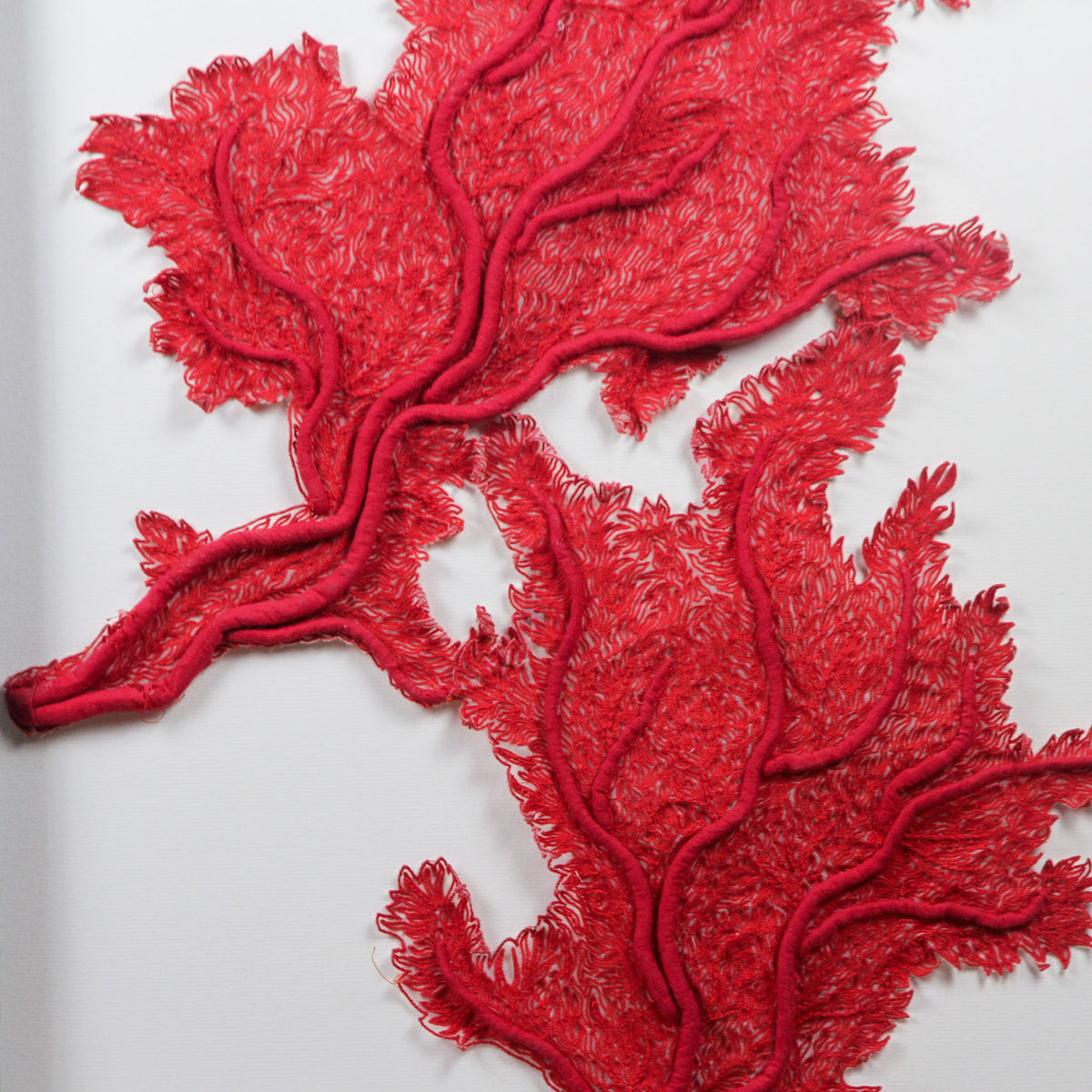 Framed Abyss Red Coral