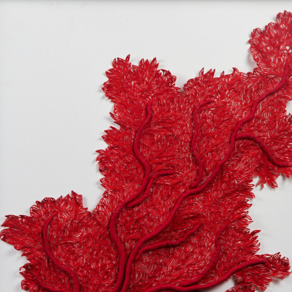 Framed Abyss Red Coral