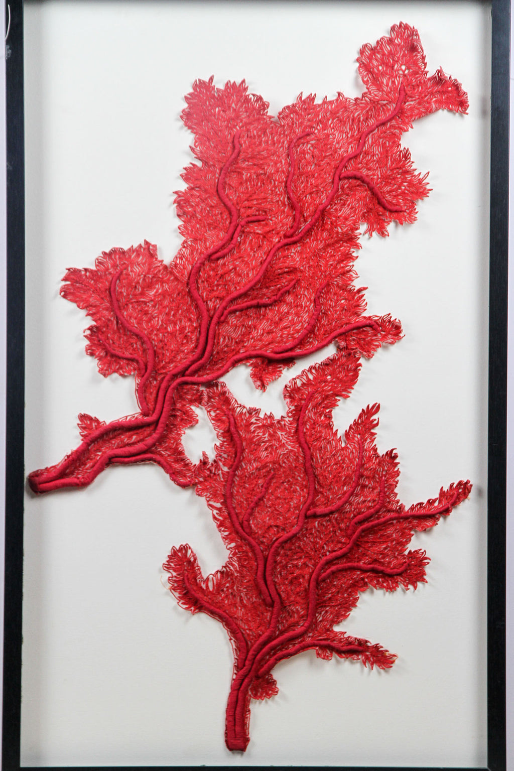 Framed Abyss Red Coral