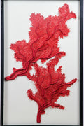 Framed Abyss Red Coral