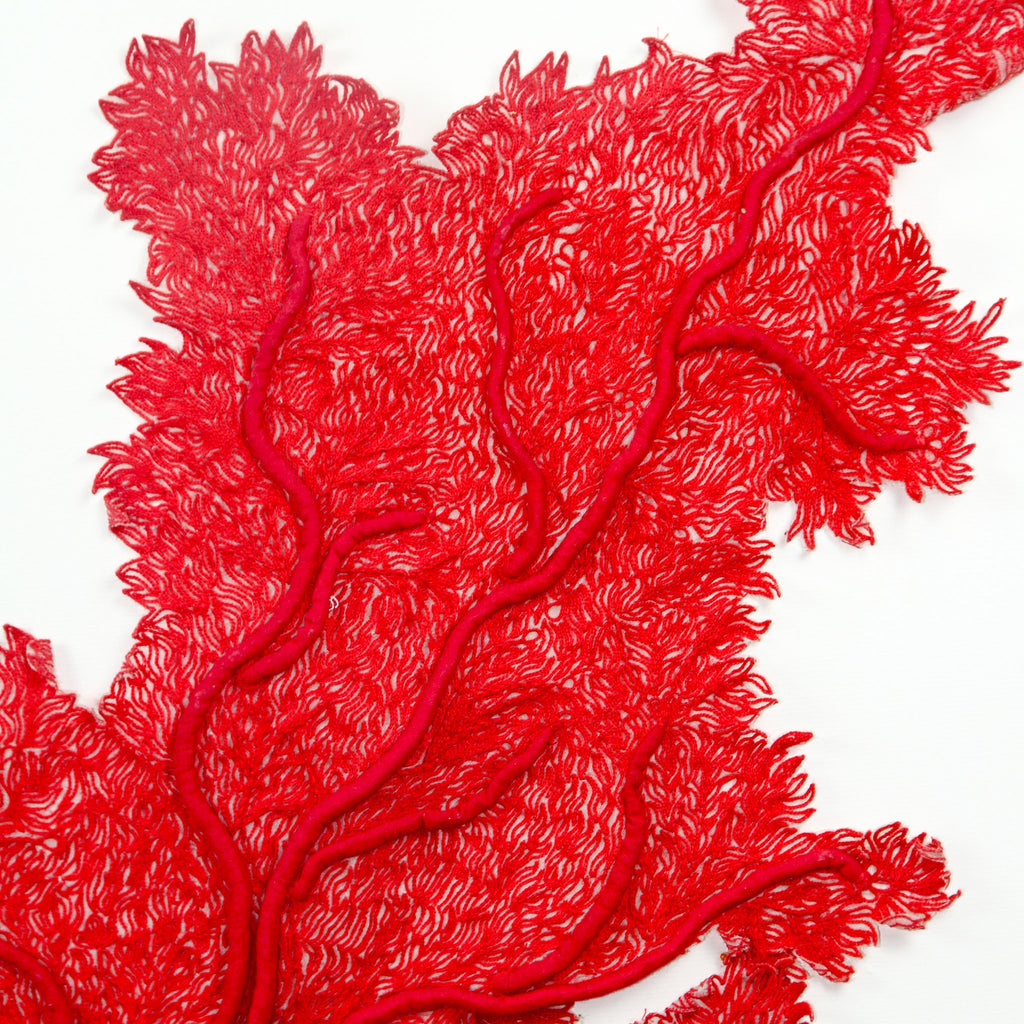Framed Abyss Red Coral
