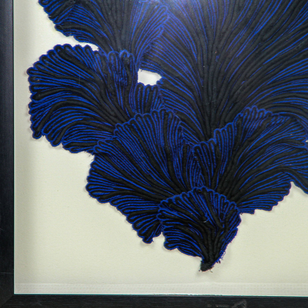 Framed Abyss Deep Water