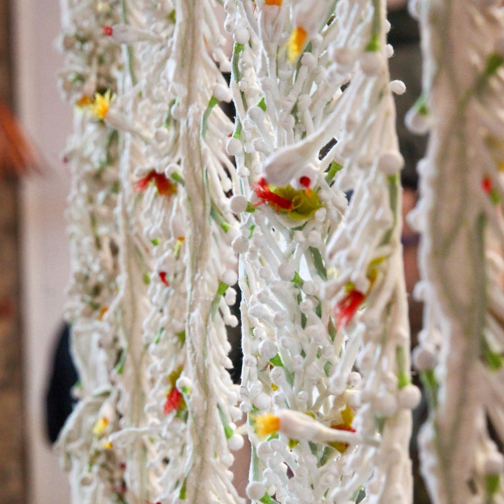Mogra Drape