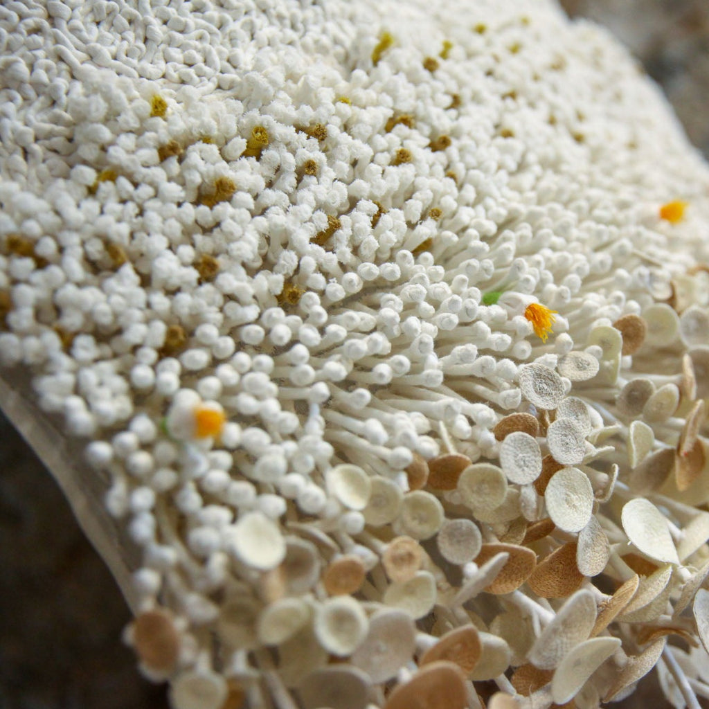Sajha Textile Art